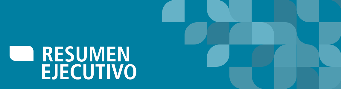 Estudio de Cultura y Desarrollo (C+D)_2